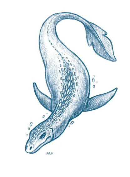 Cryptid Sea Monsters